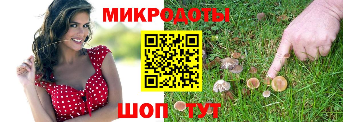 Псилоцибиновые грибы мицелий Россия