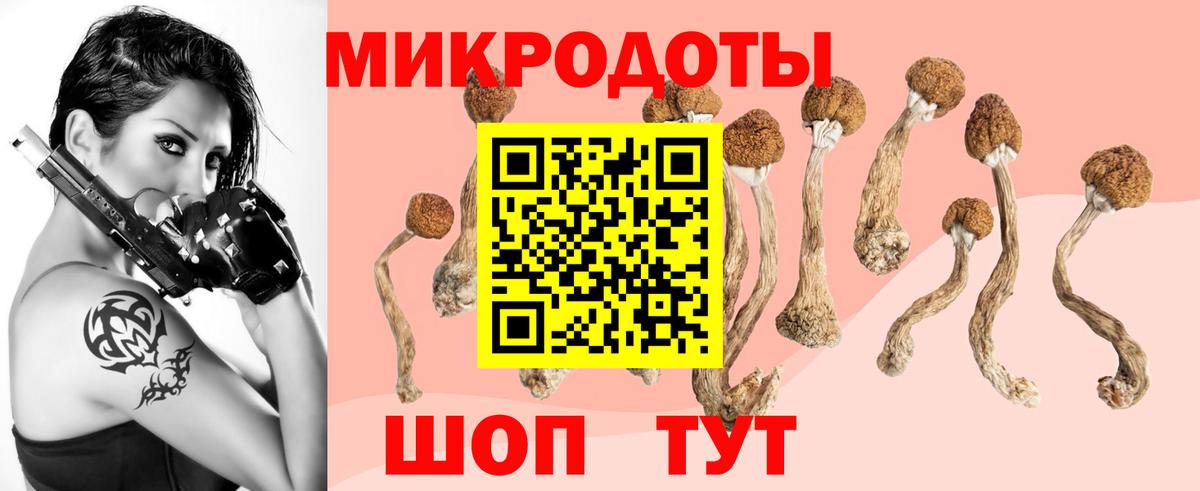 Россия  Галлюциногенные грибы Magic Shrooms  Вход с VPN 